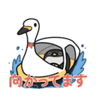 つねづねペンギン（個別スタンプ：6）