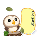 毎日使える★ふわふわフクロウ[メッセージ]（個別スタンプ：24）