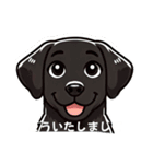 黒色ラブラドールレトリーバーのスタンプ（個別スタンプ：5）