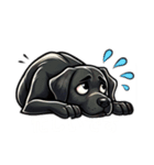 黒色ラブラドールレトリーバーのスタンプ（個別スタンプ：14）