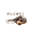 #毎日すたんちゃん2（個別スタンプ：4）