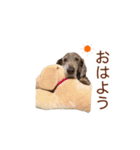 #毎日すたんちゃん2（個別スタンプ：6）