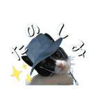 登ろう！登山猫エレが山登るスタンプ（個別スタンプ：34）