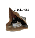 天とほののスタンプ2（個別スタンプ：6）