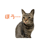 天とほののスタンプ2（個別スタンプ：8）