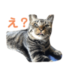 天とほののスタンプ2（個別スタンプ：12）