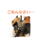 天とほののスタンプ2（個別スタンプ：17）