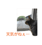 天とほののスタンプ2（個別スタンプ：32）