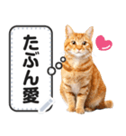 リアルな猫のメッセージ❤スタンプセット（個別スタンプ：23）