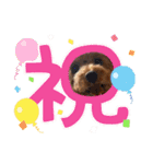 まかろにの日常〜（個別スタンプ：3）