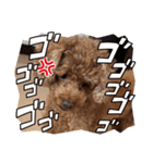まかろにの日常〜（個別スタンプ：5）