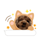 まかろにの日常〜（個別スタンプ：12）