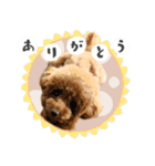 #055 ラム2 *asachi（個別スタンプ：1）