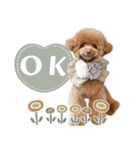 #055 ラム2 *asachi（個別スタンプ：2）