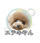#055 ラム2 *asachi（個別スタンプ：4）