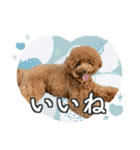 #055 ラム2 *asachi（個別スタンプ：5）