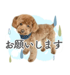 #055 ラム2 *asachi（個別スタンプ：6）