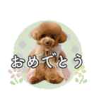 #055 ラム2 *asachi（個別スタンプ：7）