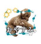 #055 ラム2 *asachi（個別スタンプ：8）