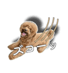 #055 ラム2 *asachi（個別スタンプ：10）