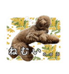 #055 ラム2 *asachi（個別スタンプ：12）
