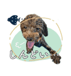 #055 ラム2 *asachi（個別スタンプ：13）