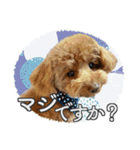 #055 ラム2 *asachi（個別スタンプ：14）