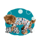 #055 ラム2 *asachi（個別スタンプ：16）