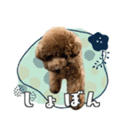 #055 ラム2 *asachi（個別スタンプ：19）