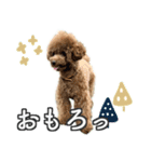 #055 ラム2 *asachi（個別スタンプ：20）