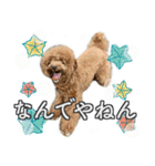 #055 ラム2 *asachi（個別スタンプ：21）