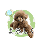 #055 ラム2 *asachi（個別スタンプ：22）