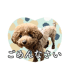 #055 ラム2 *asachi（個別スタンプ：23）