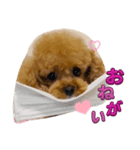 めろめろめろん♡5（個別スタンプ：1）