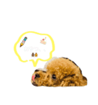 めろめろめろん♡5（個別スタンプ：5）