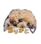 めろめろめろん♡5（個別スタンプ：8）
