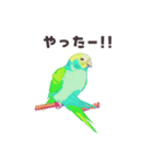 優しく伝わる日常会話 インコ カラフル（個別スタンプ：9）