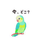 優しく伝わる日常会話 インコ カラフル（個別スタンプ：21）