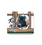 犬神家の日常（個別スタンプ：5）