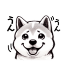 あいずち♡秋田犬（個別スタンプ：4）