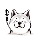 あいずち♡秋田犬（個別スタンプ：6）