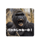 ゴリラのゴリラそしてゴリラ（個別スタンプ：2）