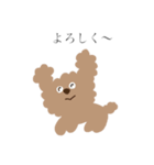 おれはトイプー（個別スタンプ：1）