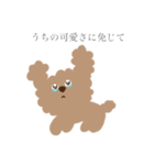 おれはトイプー（個別スタンプ：6）