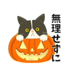 【ぶーにゃん】毎日使う【ハロウィンver.】（個別スタンプ：6）