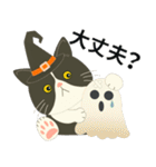 【ぶーにゃん】毎日使う【ハロウィンver.】（個別スタンプ：7）