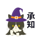 【ぶーにゃん】毎日使う【ハロウィンver.】（個別スタンプ：11）