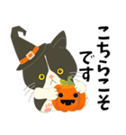 【ぶーにゃん】毎日使う【ハロウィンver.】（個別スタンプ：12）