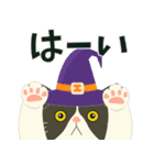 【ぶーにゃん】毎日使う【ハロウィンver.】（個別スタンプ：19）