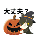 【ぶーにゃん】毎日使う【ハロウィンver.】（個別スタンプ：28）